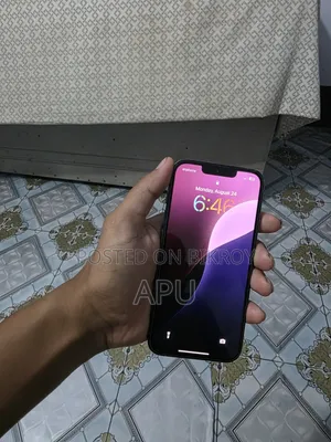 Apple iPhone 13 Pro 256 GB