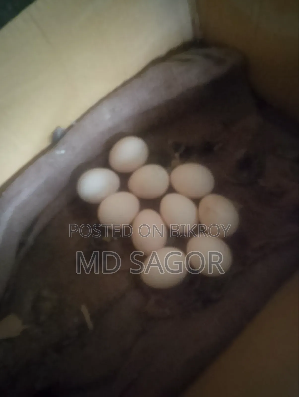 দেশি মুরগির ডিম মুরগির ডিম