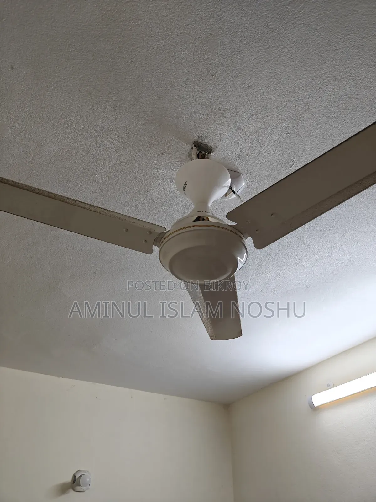 Superstar Lucky Ceiling Fan