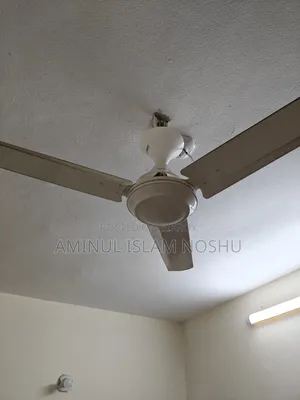 Superstar Lucky Ceiling Fan