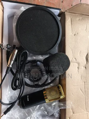 Bm 800 Microphone for Sale