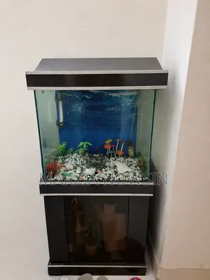 Large Fish Aquarium – With Wooden Cabinet and Decorations