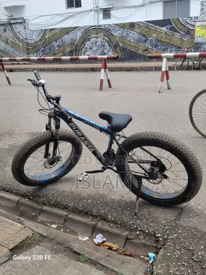 Duranta Allan Hunter 26 Fat Cycle