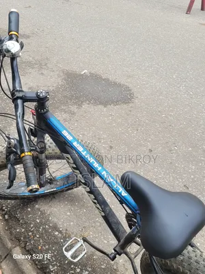 Duranta Allan Hunter 26 Fat Cycle