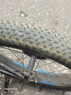 Duranta Allan Hunter 26 Fat Cycle