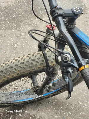 Duranta Allan Hunter 26 Fat Cycle