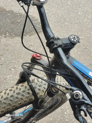 Duranta Allan Hunter 26 Fat Cycle