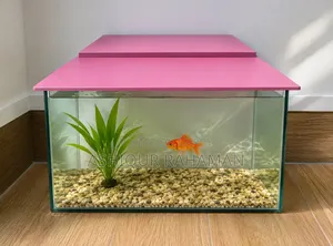 Beautiful classic aquarium used for only three months, come and check it out