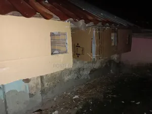 দেশি কবুতর