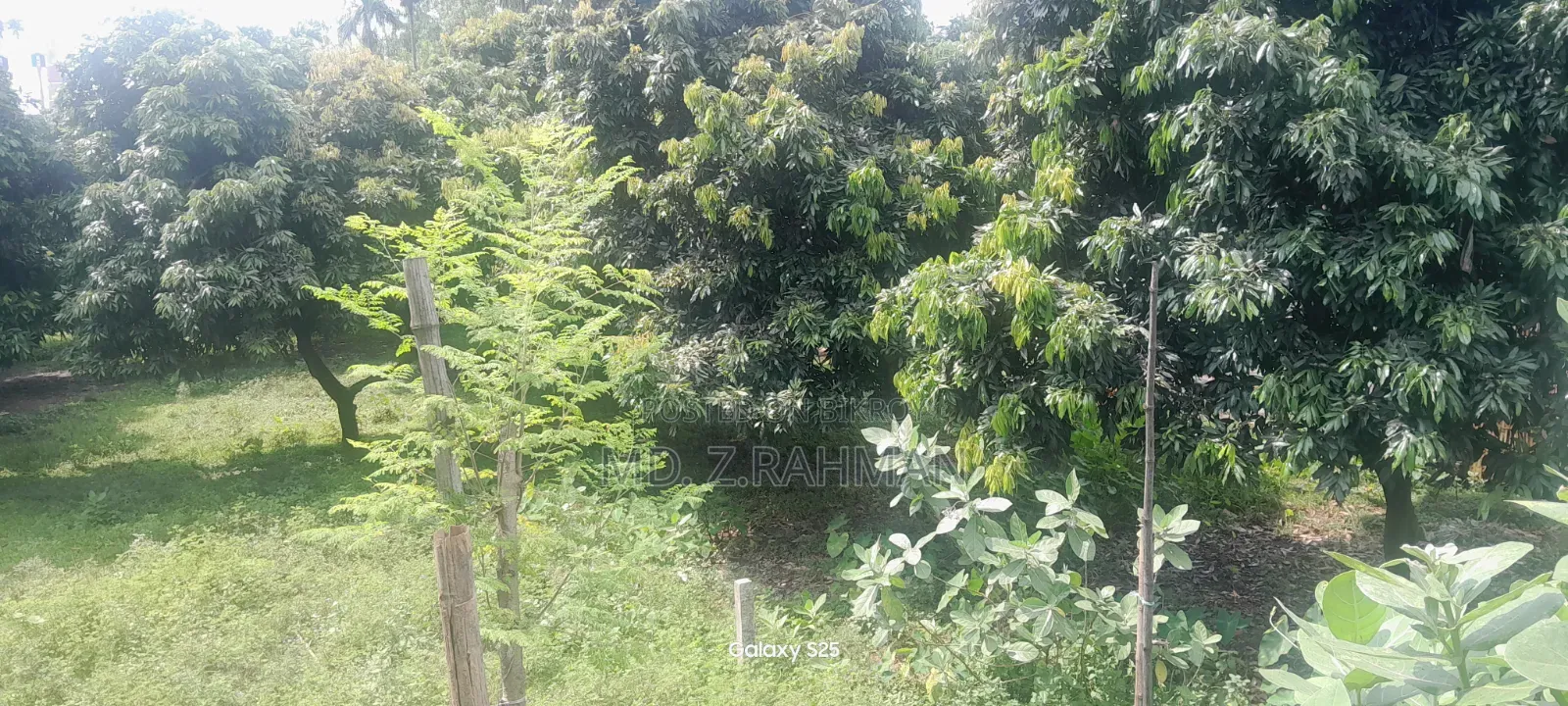 Furnished 4-Bedroom Farm House in Gosaipur, Dinajpur Sadar for Rent