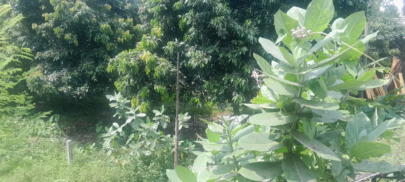 Furnished 4-Bedroom Farm House in Gosaipur, Dinajpur Sadar for Rent