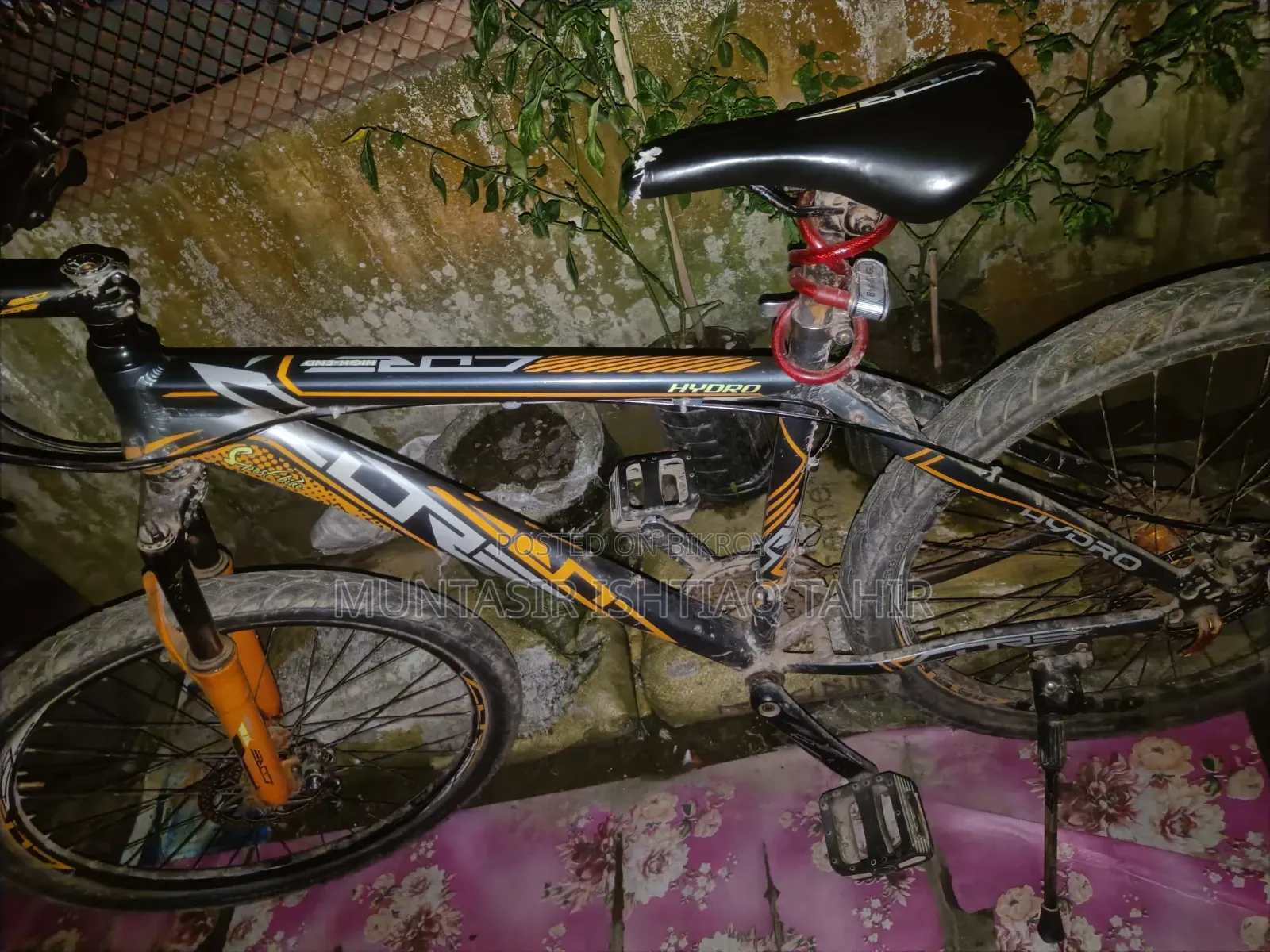 Cycle for Sale