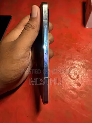 শাওমি ১৩ ২৫৬ জিবি গ্রিন