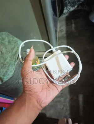 33w Charger
