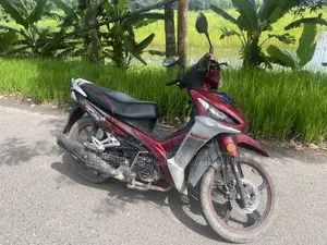 Runner SKOOTY-110 2018 Red