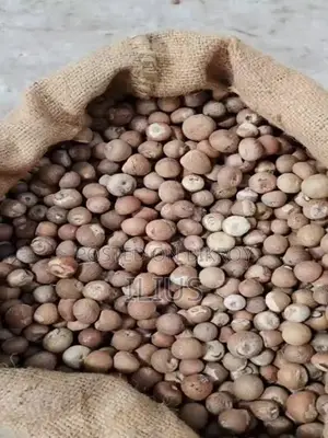 সুপারি (Betel Nut)