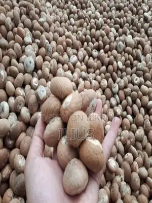 সুপারি (Betel Nut)