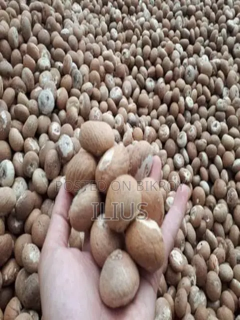 সুপারি (Betel Nut)