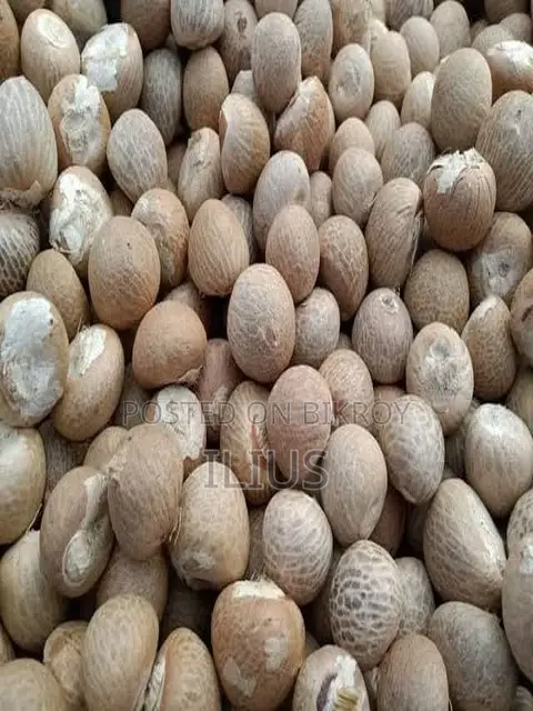 সুপারি (Betel Nut)