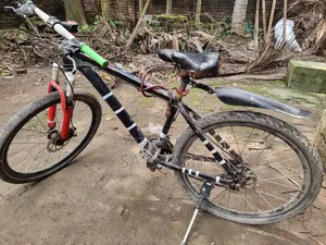 Old Bicycle