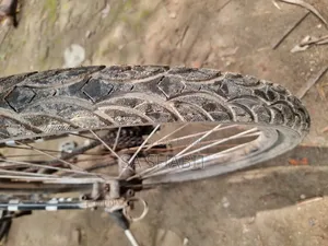 Old Bicycle