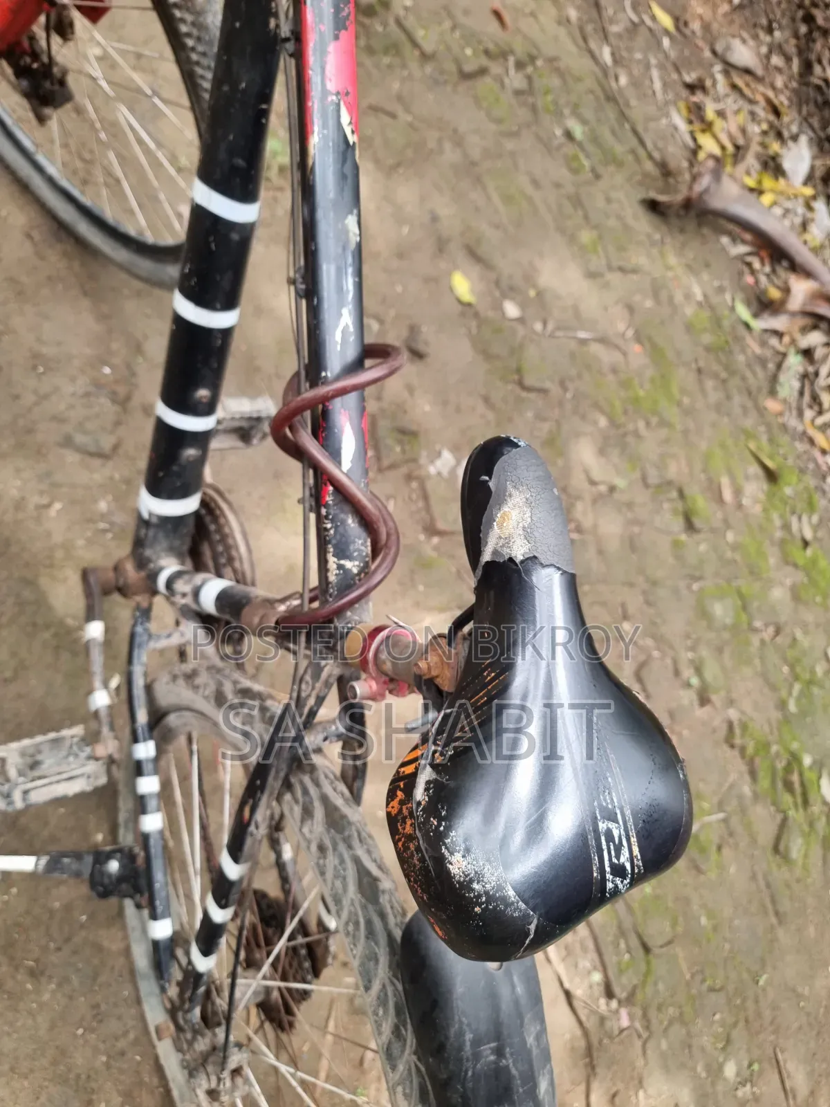 Old Bicycle
