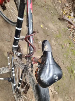 Old Bicycle