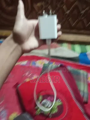Mobile Charger