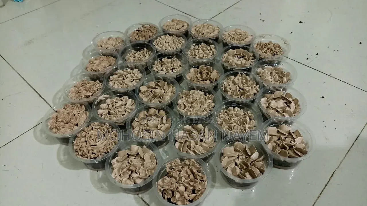 হোমমেড খাবার বিক্রি করার জন্য ১ জন লোক লাগবে