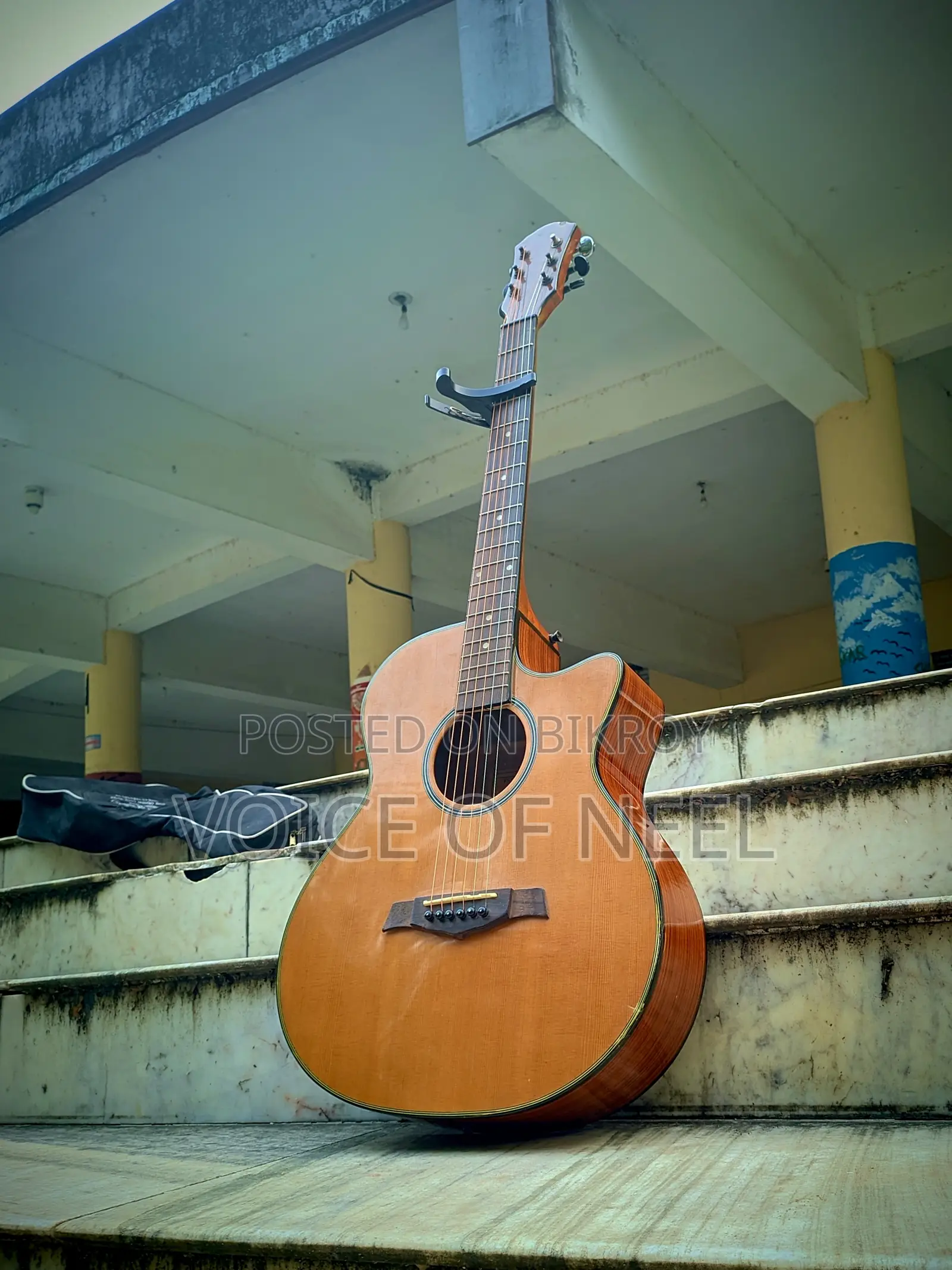 Sx Brand Guitar