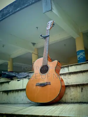 Sx Brand Guitar