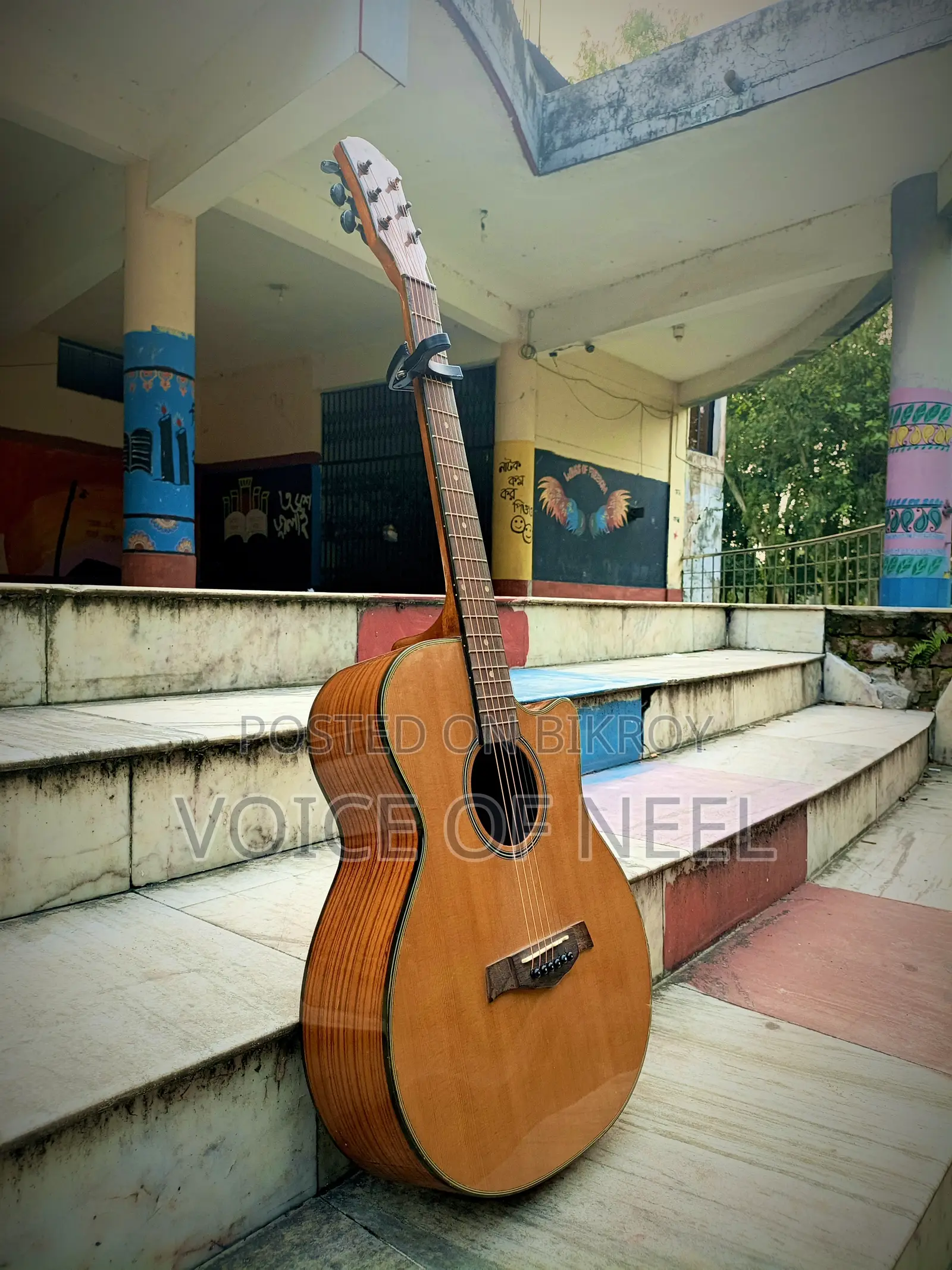 Sx Brand Guitar