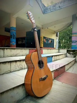 Sx Brand Guitar