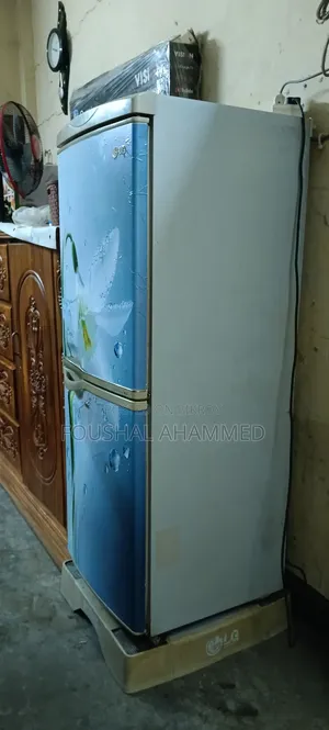 ১২ সিএফটি এলজি ফ্রিজ