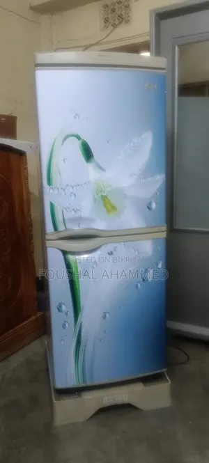 ১২ সিএফটি এলজি ফ্রিজ