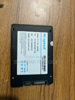 256 GB SATA SSD (100% Health)