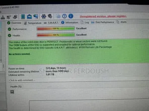 256 GB SATA SSD (100% Health)