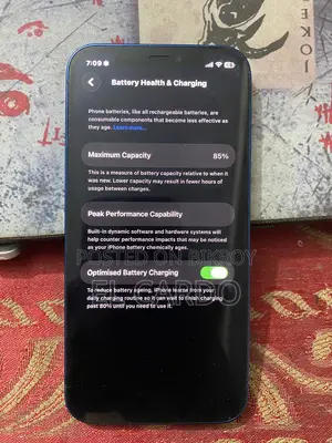 অ্যাপল আইফোন ১২ ২৫৬ জিবি নীল