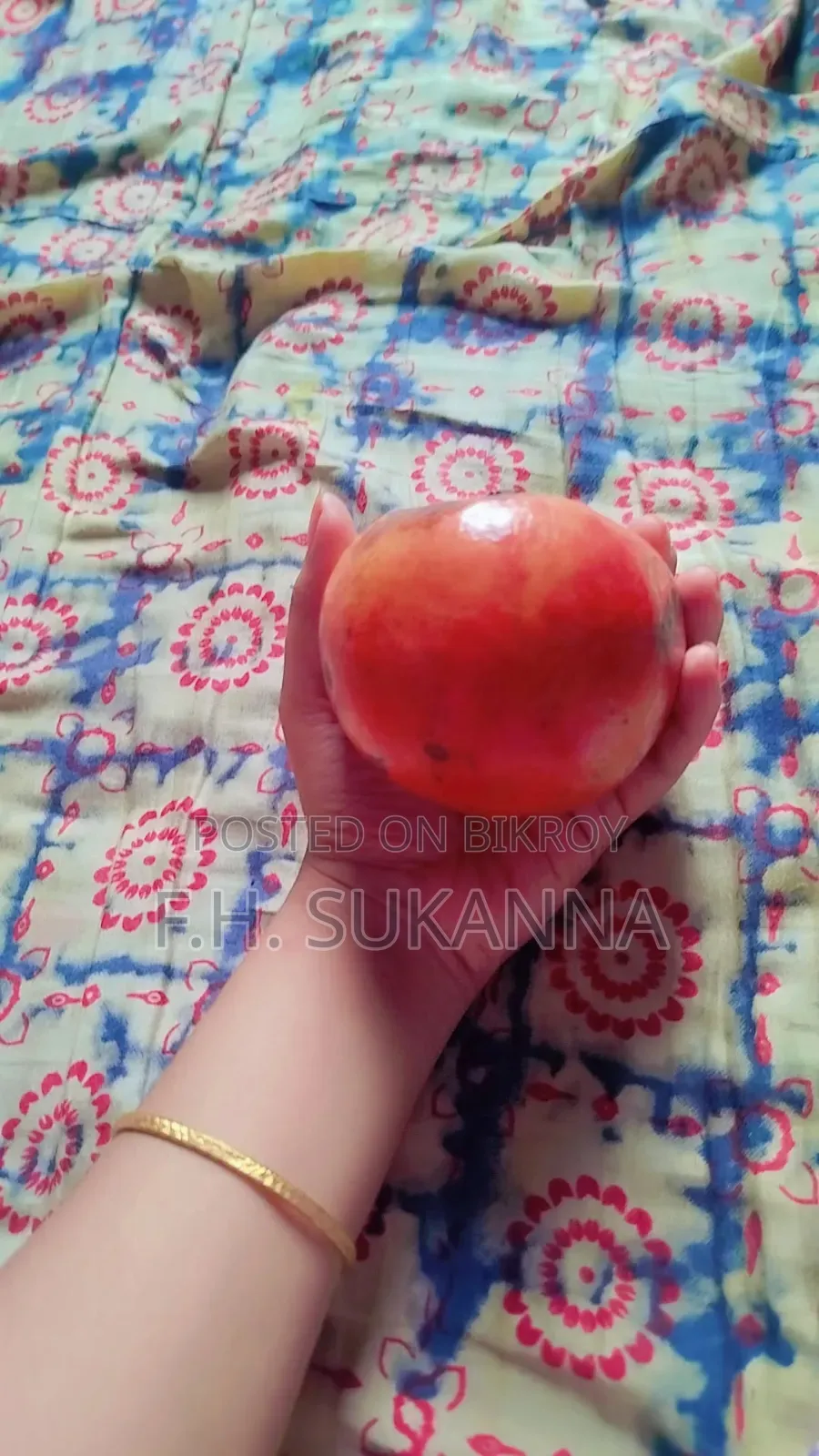 Mother Pomegranate Tree