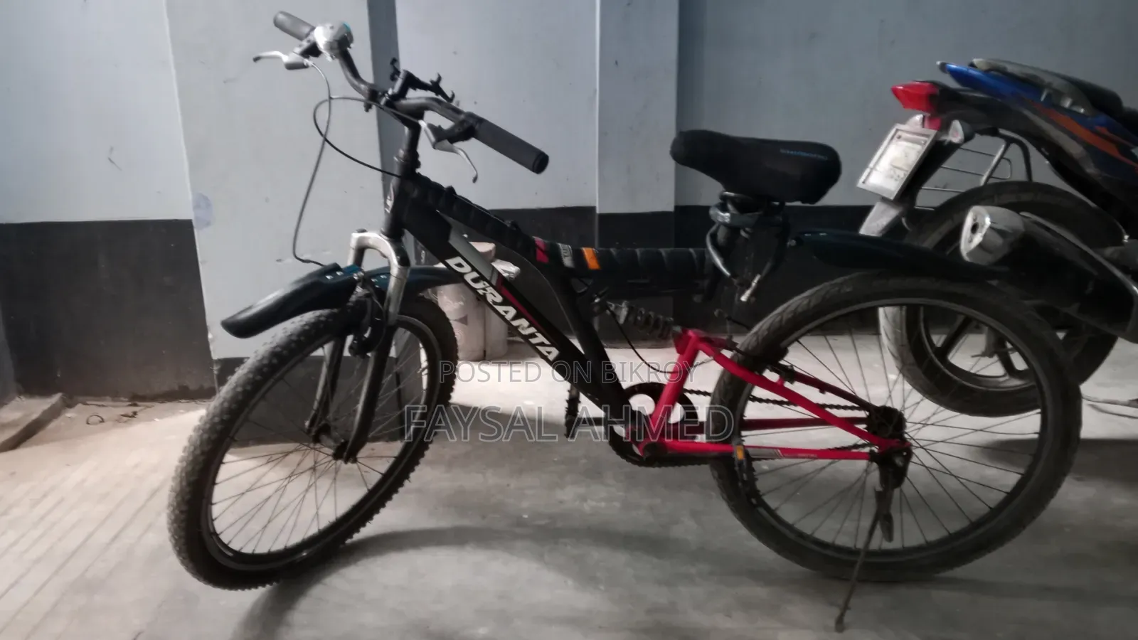 Duranta Cycle for Sale