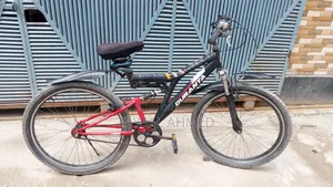 Duranta Cycle for Sale
