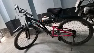 Duranta Cycle for Sale