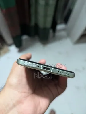 Xiaomi Civi 4 Pro 256 GB Gray