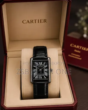 Men's Premium Water Resistant Watch