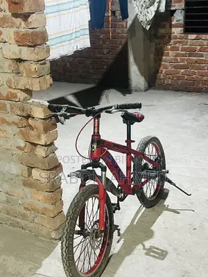 Cycle | Cycle for Baby
