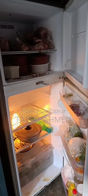 LG ফ্রিজ বিক্রি হবে ১১সিপটি