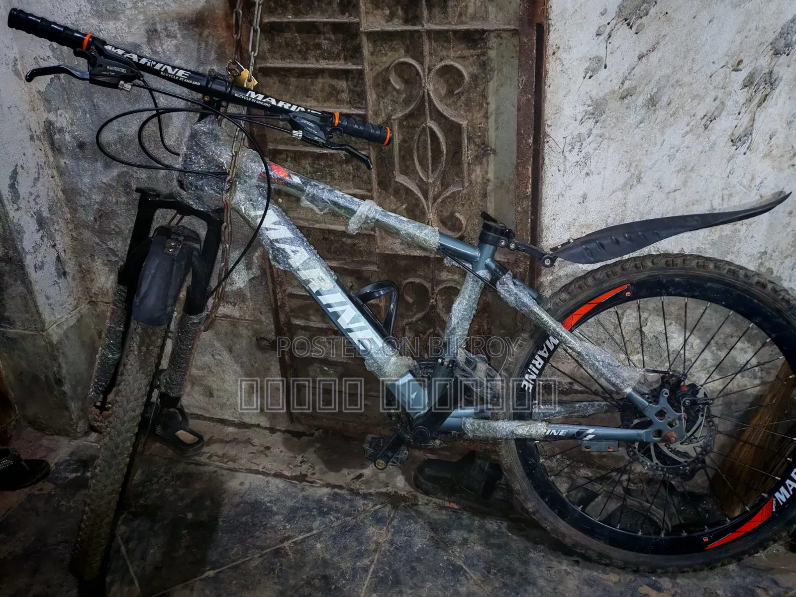 Marine Bicycle