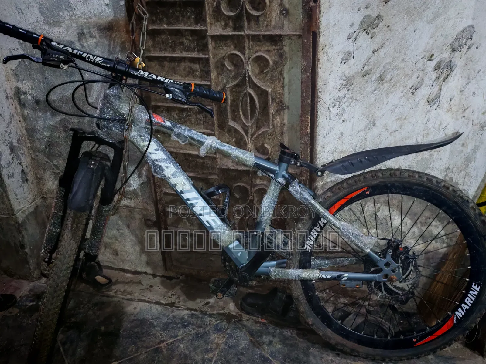 Marine Bicycle