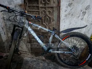 Marine Bicycle