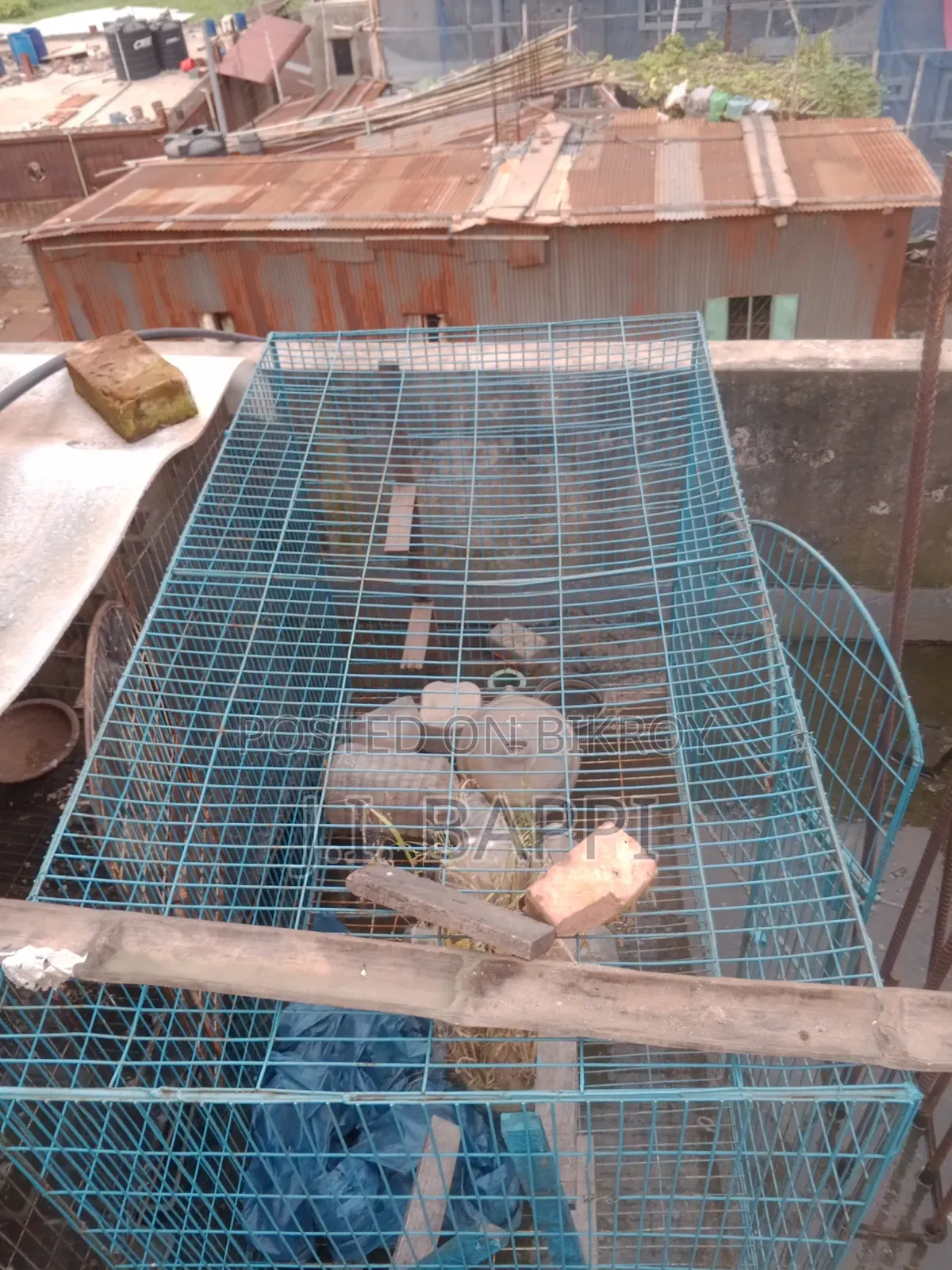 Bird keeping cage